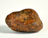 8.9g AGOUDAL Meteorite I IIAB Iron I Oriented Meteorite