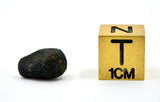 0.58g AGUAS ZARCAS Meteorite I Carbonaceous Chondrite CM2