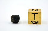 0.58g AGUAS ZARCAS Meteorite I Carbonaceous Chondrite CM2