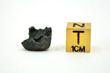 1.05g AGUAS ZARCAS Meteorite fragment I Carbonaceous Chondrite CM2