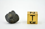 1.05g AGUAS ZARCAS Meteorite fragment I Carbonaceous Chondrite CM2