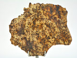 20.74g ERG ATOUILA 003 Primitive Achondrite Ungrouped