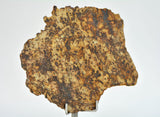 20.74g ERG ATOUILA 003 Primitive Achondrite Ungrouped