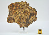 20.74g ERG ATOUILA 003 Primitive Achondrite Ungrouped