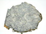 36.26g Eucrite Breccia Slice I HED Northeast Africa 110