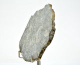 36.26g Eucrite Breccia Slice I HED Northeast Africa 110