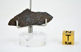 2.2g Errachidia 004 I Winonaite Anomalous Primitive Achondrite Meteorite Slice