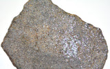 8.6g Errachidia 004 I Winonaite Anomalous Primitive Achondrite Meteorite Slice