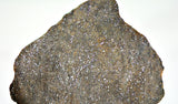 16.13g Errachidia 004 I Winonaite Anomalous Primitive Achondrite Meteorite End Piece