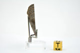 16.13g Errachidia 004 I Winonaite Anomalous Primitive Achondrite Meteorite End Piece