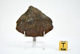 16.13g Errachidia 004 I Winonaite Anomalous Primitive Achondrite Meteorite End Piece