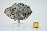 10.58g Ksar Ghilane 022 Slice Achondrite Ungrouped Meteorite Suspected to be from Mercury