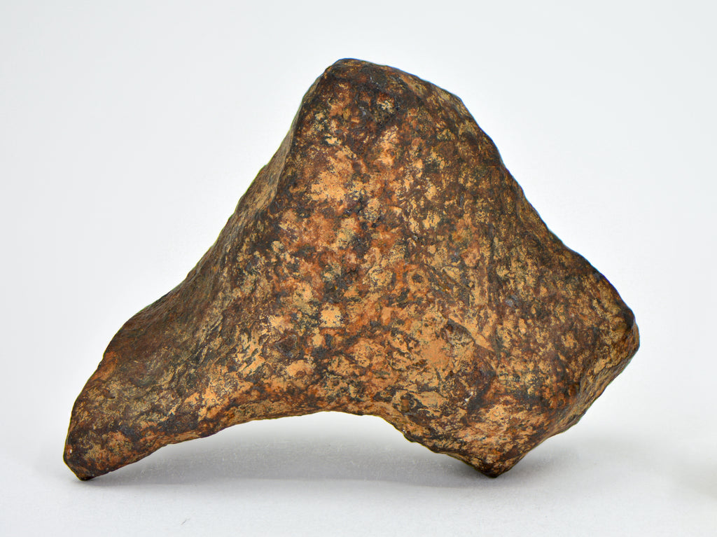 53.83g MUNDRABILLA meteorite - Iron Meteorite – Top Meteorite