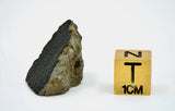 6.31g Martian Meteorite I Olivine Phyric Shergottite Meteorite from Mars