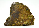 40.19g Olivine Diogenite I Beautiful HED Achondrite Meteorite from Asteroid 4 Vesta
