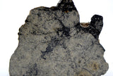 57.05g Eucrite Breccia end slice I HED Northeast Africa 110