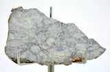 16.10g Eucrite Breccia Slice I HED Northeast Africa 110