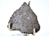 3.10g CR2 Carbonaceous Chondrite Meteorite Slice I NEA 111