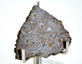 3.10g CR2 Carbonaceous Chondrite Meteorite Slice I NEA 111