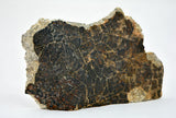 23.86g Eucrite Unbrecciated end piece I HED Achondrite I NWA 12932