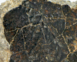 23.86g Eucrite Unbrecciated end piece I HED Achondrite I NWA 12932