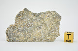 23.86g Eucrite Unbrecciated end piece I HED Achondrite I NWA 12932