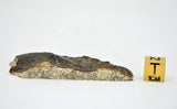 23.86g Eucrite Unbrecciated end piece I HED Achondrite I NWA 12932