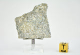 10.46g Eucrite Unbrecciated slice I HED Achondrite I NWA 12932