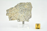 12.81g Eucrite Unbrecciated slice I HED Achondrite I NWA 12932