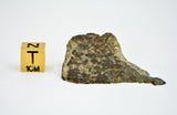 16.20g Eucrite Unbrecciated end piece I HED Achondrite I NWA 12932
