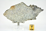 16.37g Eucrite Unbrecciated slice I HED Achondrite I NWA 12932