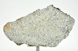 24.60g Eucrite Unbrecciated slice I HED Achondrite I NWA 12932