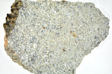 26.36g Eucrite Unbrecciated slice I HED Achondrite I NWA 12932