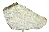 26.39g Eucrite Unbrecciated slice I HED Achondrite I NWA 12932