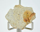 5.60g Diogenite I Beautiful HED Meteorite from Asteroid 4 Vesta