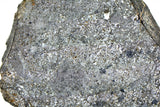 368.96g Unbrecciated Eucrite End Piece I HED I NWA 17927 Main Mass