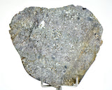 27.96g Unbrecciated Eucrite Slice I HED I NWA 17927