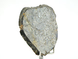 28.85g Unbrecciated Eucrite Slice I HED I NWA 17927