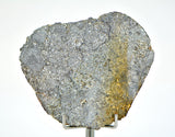28.85g Unbrecciated Eucrite Slice I HED I NWA 17927
