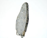 32.12g Unbrecciated Eucrite Slice I HED I NWA 17927