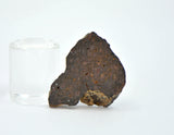 2.79g CR2 Carbonaceous Chondrite Meteorite Slice I NWA 7020