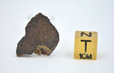 2.79g CR2 Carbonaceous Chondrite Meteorite Slice I NWA 7020