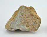 3.23g EL6 Enstatite Chondrite Meteorite I NWA 7401