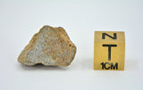 3.23g EL6 Enstatite Chondrite Meteorite I NWA 7401
