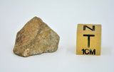 3.23g EL6 Enstatite Chondrite Meteorite I NWA 7401