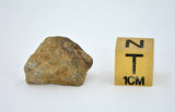 3.23g EL6 Enstatite Chondrite Meteorite I NWA 7401
