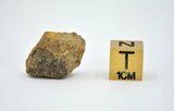2.71g EL6 Enstatite Chondrite Meteorite I NWA 7401
