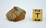 3.54g EL6 Enstatite Chondrite Meteorite I NWA 7401