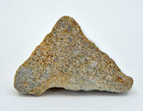 4.20g EL6 Enstatite Chondrite Meteorite I NWA 7401