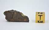4.12g CR2 Carbonaceous Chondrite Meteorite Slice I NWA 7020